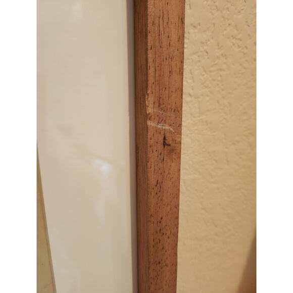 Framed J. & E. Gould - Nectarina Famosa Lithograph Print 17 1/2 x 21 1/2" - Picture 13 of 16